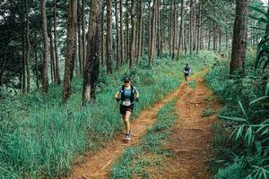 BIB: 
                            <button type="button" onclick="openModal(25654842)" class="btn btn-primary btn-sm float-right btn-popup" data-toggle="modal" data-target=".modal-high-quality">
                        <i class="fas fa-shopping-cart"></i> Add to Cart
                    </button>
                                            <button type="button" onclick="isThisMe(25654842, true)" class="btn btn-success btn-sm float-right btn-popup btn-isme hidden" data-toggle="tooltip" data-placement="bottom" title="นี่คือรูปของคุณใช่ไหม คลิกที่นี่เพื่อเอาเข้าอัลบั้ม">
                        <i class="fas fa-plus"></i> Add to album
                    </button>
                    <button type="button" onclick="isThisMe(25654842, false)" class="btn btn-warning btn-sm float-right btn-popup btn-isnotme hidden">
                        <i class="fas fa-ban"></i> Remove from album
                    </button>